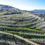 Villa Quinta Do Pombal Douro Penajoia