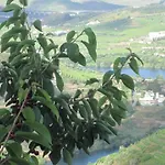 Quinta Do Pombal Douro * Penajoia