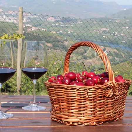 Quinta Do Pombal Douro Penajoia