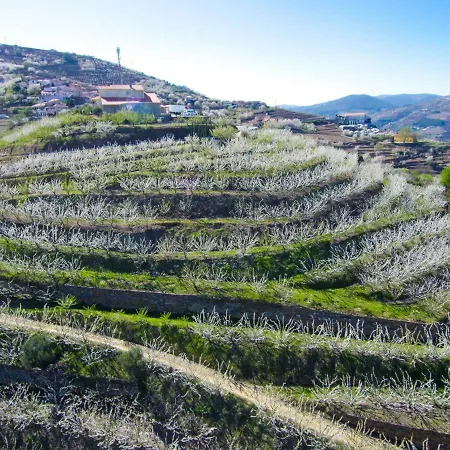 Villa Quinta Do Pombal Douro Penajoia
