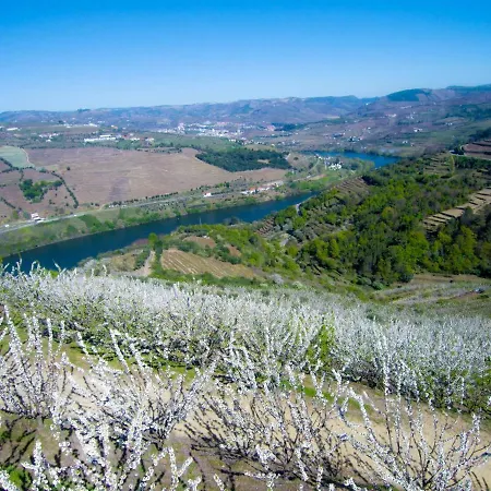 ヴィラ Quinta Do Pombal Douro