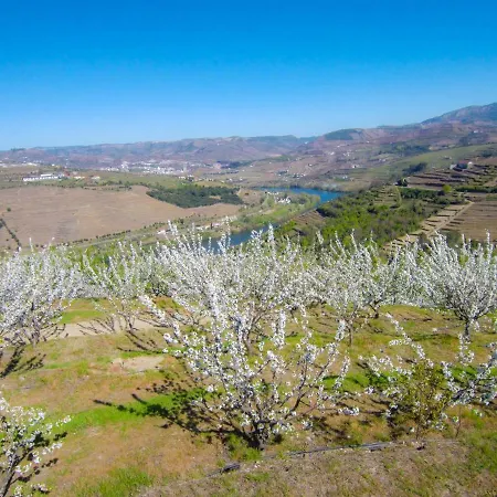 Quinta Do Pombal Douro Villa Penajoia