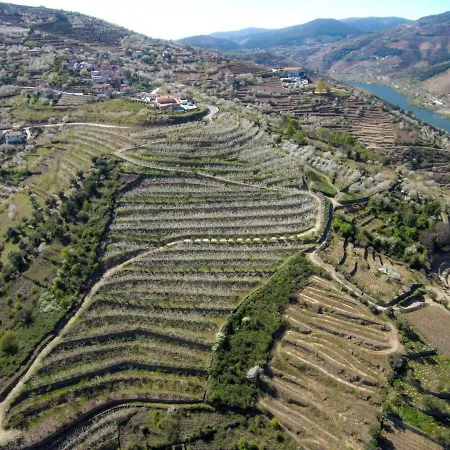 Quinta Do Pombal Douro ヴィラ *