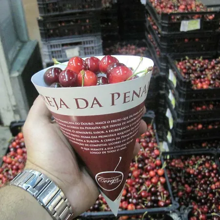 Quinta Do Pombal Douro Villa Penajoia