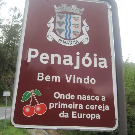 Quinta Do Pombal Douro Villa