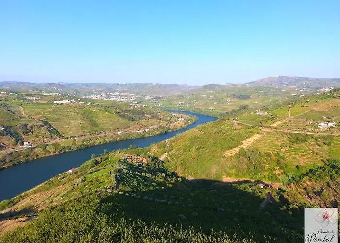 Quinta Do Pombal Douro Villa Penajoia