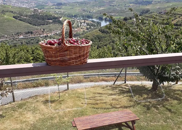 Quinta Do Pombal Douro *