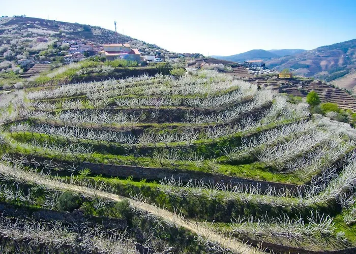 Villa Quinta Do Pombal Douro Penajoia