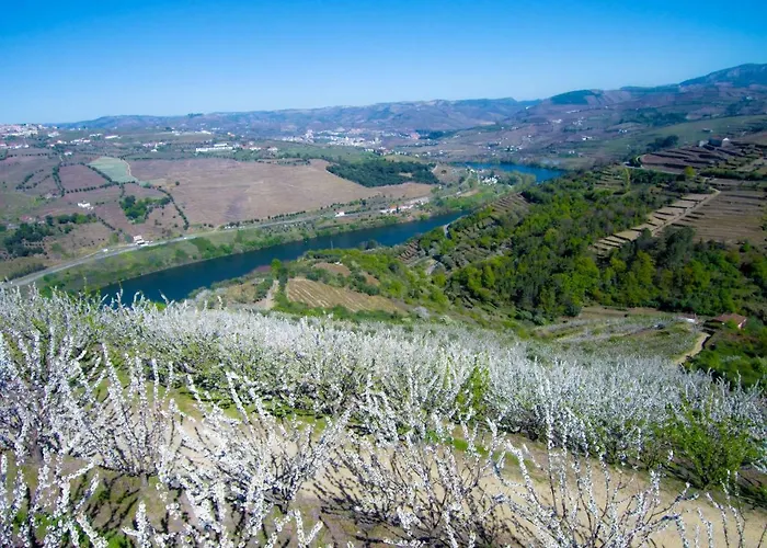 Villa Quinta Do Pombal Douro