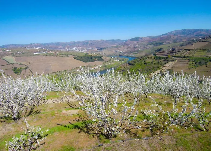 Quinta Do Pombal Douro Villa Penajoia