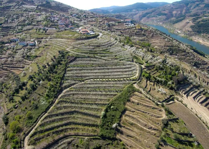 Quinta Do Pombal Douro Villa *