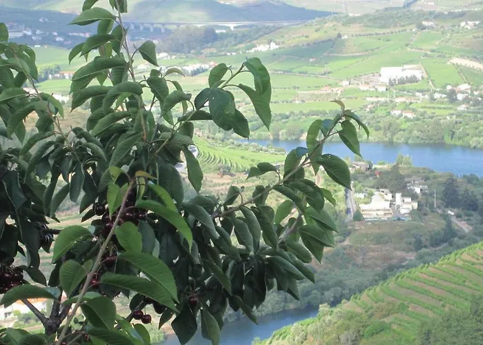 Quinta Do Pombal Douro * Penajoia